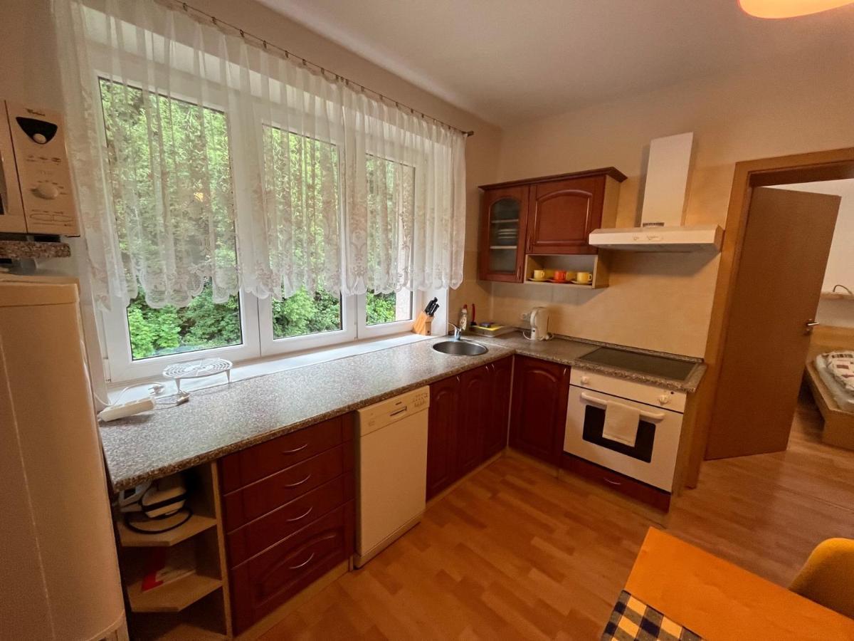 Apartmán Horní Lipová Horni Lipova Exterior foto